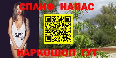 apvp Владикавказ