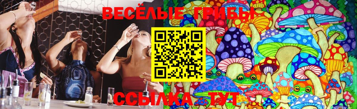 Галлюциногенные грибы Magic Shrooms  Вход с VPN  Калач-на-Дону  Галлюциногенные грибы Cubensis 